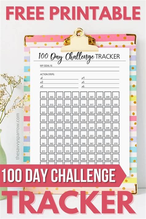 100 Day Challenge Printable Pdf
